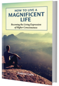 Book Cover: How to Live A Magnificent Life